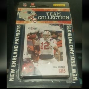 Rare Panini New England Patriots 2010 Team Collection. Nib